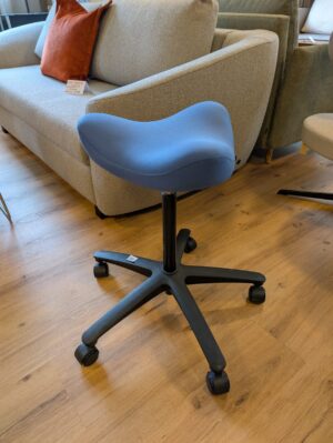 Move mit Rollen von Varier (verschiedene Farben)