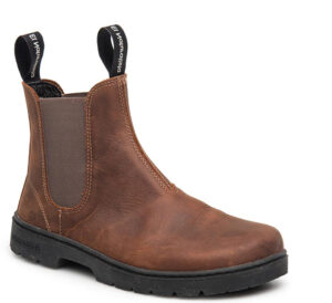 El Naturalista Nomada